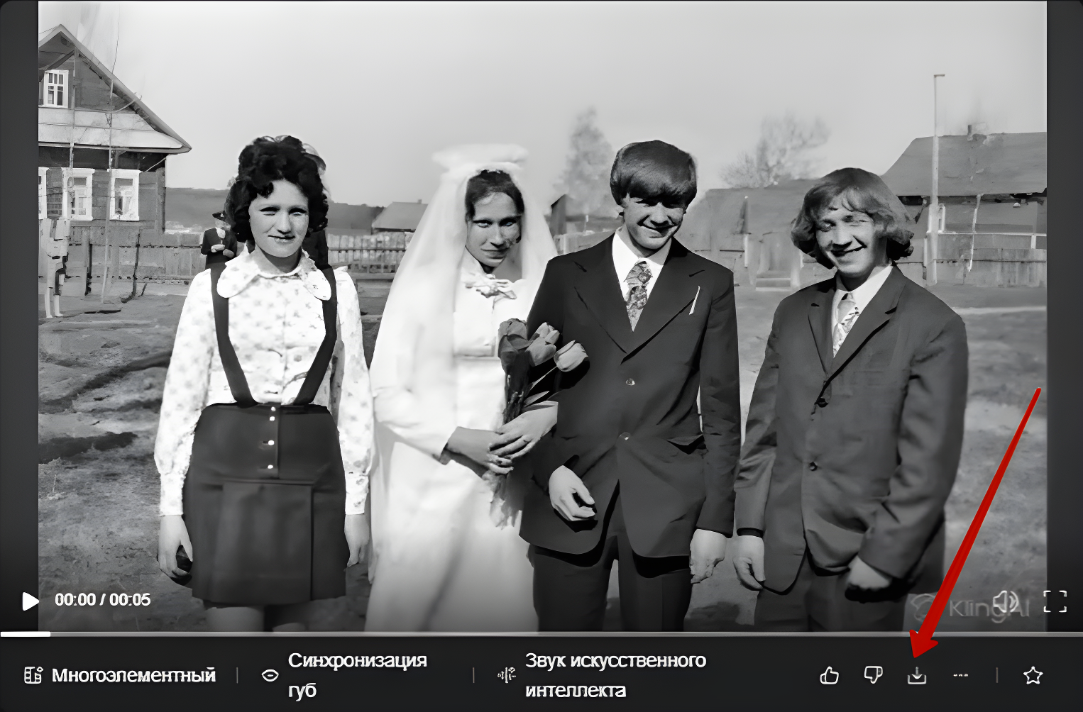 видео из фото